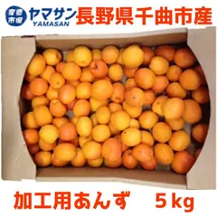 発送中 長野県千曲市産 生あんず 杏 あんず5kg箱 加工用 訳あり ジャム用のサムネイル