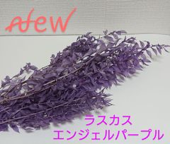 大地農園 ラスカス エンジェルパープル 新品1束