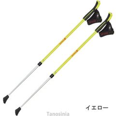 握りやすいグリップ 2段伸縮 回転固定式 ノルディックウォーキングポール SINANO シナノ レビータノルディック 2本ペア 対応身長131～192cm