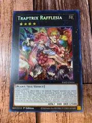 2025年最新】フレシアの蟲惑魔 シークレットの人気アイテム