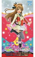  南ことり 「ラブライブ!」 プレミアムフィギュア