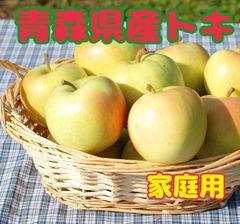 希少‼️青森県産トキ✨家庭用✨4kg11〜12玉