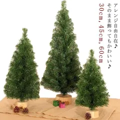 no.0350 イソバナ珊瑚とフロストツリー