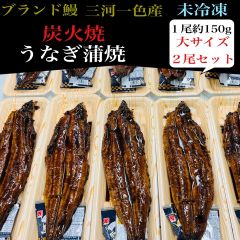 未冷凍　うなぎの蒲焼　大サイズ２尾セットのサムネイル