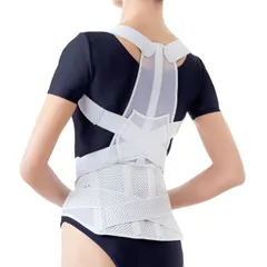 【新品・14営業日以内発送】【即納在庫品】アルファックス 203216 お医者さんの腰から正す姿勢ベルトL－LL 日本製 猫背矯正 腰痛予防 背筋サポート 通気性 インナーウェア 健康グッズ リハビリ用 大きいサイズ対応 背すじ保持 肩甲【沖縄離島販売不可】