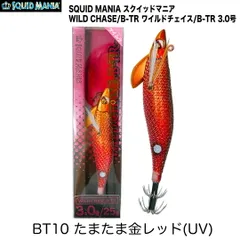 2025年最新】ワイルドチェイス trの人気アイテム - メルカリ