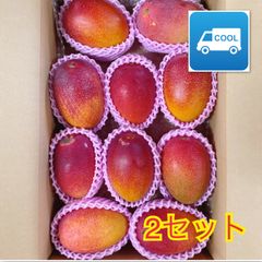 宮崎県産 完熟マンゴー 自家用 6kg 宮崎県産 完熟マンゴー 訳あり ランク2 6kg - メルカリ