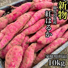 1000円OFFクーポン◎【本場】紅はるか 訳あり 10kg さつまいも シルクスイート好きに