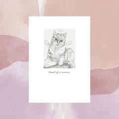 猫　ポストカード