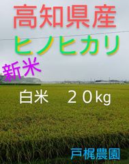 高知県産 ヒノヒカリ 白米 ２０kg 農家直送 減農薬