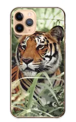 arrows 5G F-51A ケース カバー アローズ5G スマホケース ハードケース 虎 トラ タイガー ホワイトタイガー tiger かっこいい カッコイイ 動物 アニマル カラー01