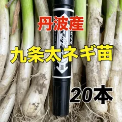 2025年最新】ねぎの人気アイテム - メルカリ
