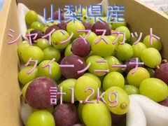冷蔵便【粒】シャインマスカット•クイーンニーナ計1.2kg