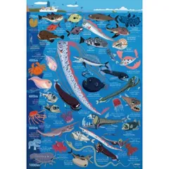 j-m 30001-明治深海生物図鑑01~19までフルコンプ