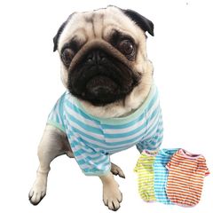 新品 犬服 ちくわちゃん サマーボーダーTシャツ  ペット服 パグ服 夏犬服