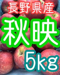 安い！今が旬！長野県産秋映りんご約5キロ　リンゴ　Apple 林檎　フルーツ