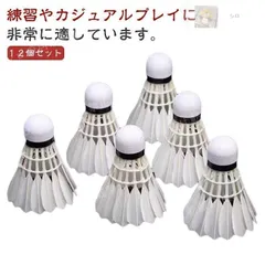 バドミントンシャトル(使用済み) prahs-19.jpg