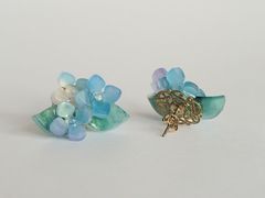 紫陽花 - hydrangea pierce -