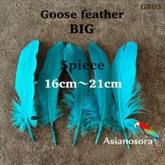 ◾️⭐︎【GB5エメラルド】ガチョウ 羽根 大 5枚 フェザー 鳥の羽根 素材 羽