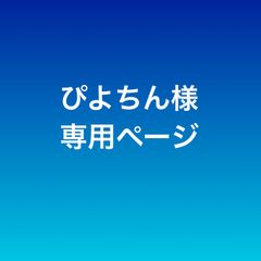 ぴよちん様専用ページ