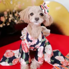 798☆本格振袖 正絹 一点物 犬用お着物 白×紫 牡丹×蝶