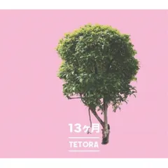 tetora アルバムCD　4枚セット 2025年最新】tetora cdの人気アイテム - メルカリ