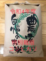 令和4年　特別栽培コシヒカリ　10kg (精米)