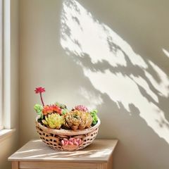 鉢植え 植木鉢 プランター プラントポット フラワーポット ガーデニング セラミック 屋内 屋外 インテリア 庭 玄関 カゴ型 多肉植物