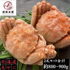 【🦀タイムセール🦀】【訳あり】北海道産　毛蟹　2尾セット（合計約800～900ｇ分）　付け足　かに　蟹　毛がに　けがに　ケガニ　母の日　父の日　お中元　お歳暮　フードロス