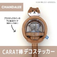 BBOOGYULI／内側に貼るタイプ】SEVENTEEN MINITEEN ペンライト デコ