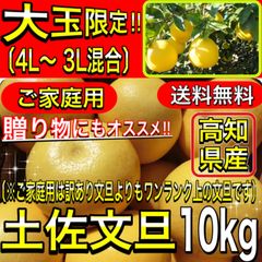 土佐文旦 大玉 4L 3L 混合 10kg 高知県産 ご家庭用 ぶんたん