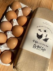 平飼い自然卵（有精卵）40個セット