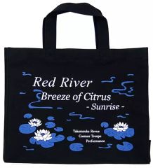 Item thumbnail for item 36979a66-705b-473e-a738-32228547c415