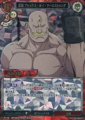 プラチナジャケット　レオナ　プロモ　PR+　ホロ　ビルディバイド ビルディバイド ブライト プロモ ノーマル プラチナジャケット