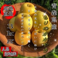 青森県産 もりのかがやき りんご【A品3kg】【送料無料】【農家直送】リンゴ