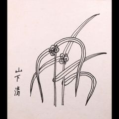 森田節子 ワイヤーアート 葉 2点 - メルカリ