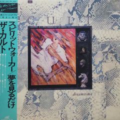 The Cult / Dreamtime レコード