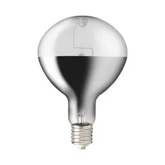 最終値段　IWASAKI バラストレス水銀ランプ 750W 4個入 アイ セルフバラスト水銀ランプ(バラストレス水銀灯) | 水銀