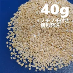 ★お試し40g 沖縄県産 星砂 星の砂★