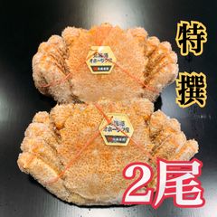 北海道産 冷凍ボイル毛がに 大(420〜450g)×2 毛蟹