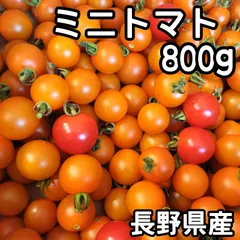 2025年最新】オレンジパルチェの人気アイテム - メルカリ 