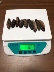 工場直売　関西産　A級品 乾燥赤なまこ  100g9本(計量時101g9本)