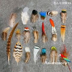 ❤️【色んな羽根15】20種類 羽根 羽 フェザー 装飾 インテリア DIY 素材