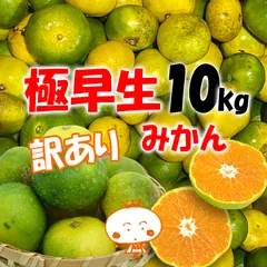 みかん 出品 香川県産（坂出みかん共同選果場） 小原紅みかん（お届け期間