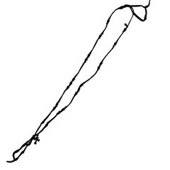 2025年最新】M.Cohen エム・コーエン スカルの人気アイテム