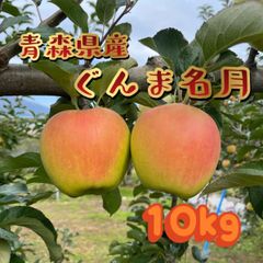 青森県産🍏ぐんま名月✨家庭用🍏10Kg28〜32玉