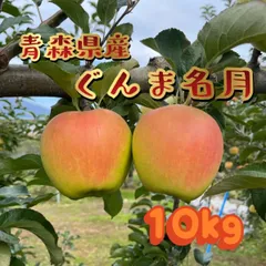 青森県産🍏ぐんま名月✨家庭用🍏10Kg28〜32玉