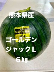 【産地直送・希少スイカ・即日発送可】熊本県産大玉黒すいか　ゴールデンジャックＬ　黄色すいか種なしすいか　正規品　秀品　贈答用