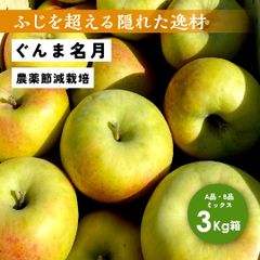発送11月4日から11月30日まで りんご選びで失敗したくない方におすすめ！「ぐんま名月3キロ箱A品B品ミックス」農林水産大臣賞  長野県産 安曇野 信州産 産地直送