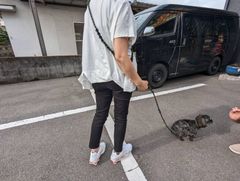 パラコードショルダーリード＆首輪　ブラック＆ブラウン